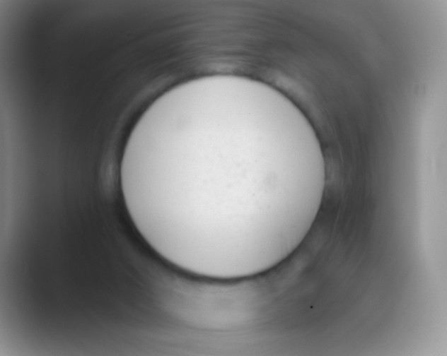 X0000088710016200706282052