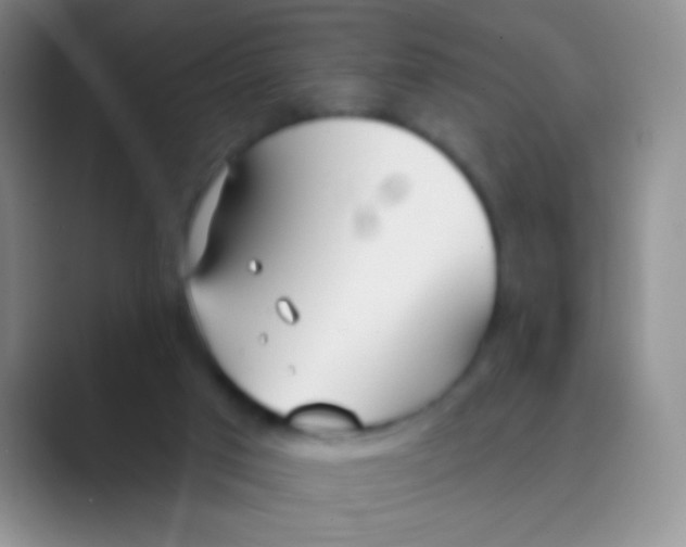 X0000088710017200706282052