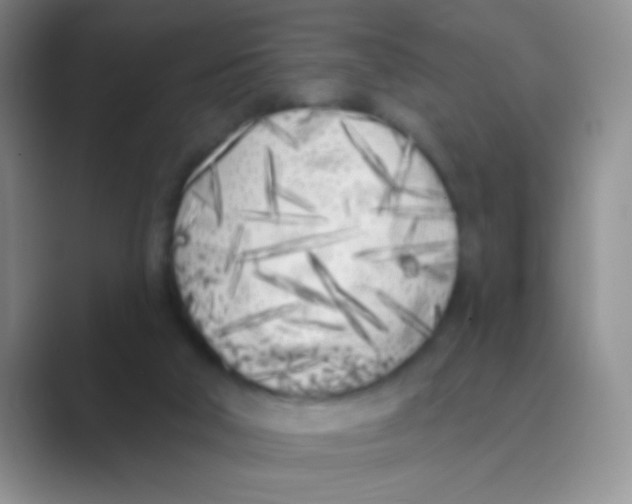 X0000088710018200706282052