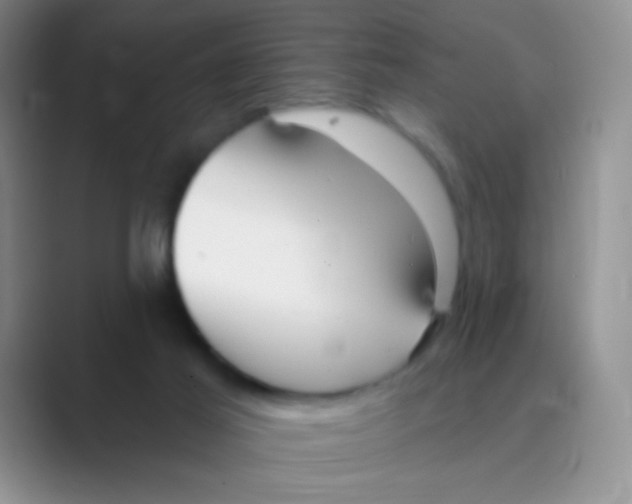 X0000088710021200706282052