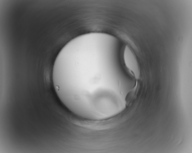 X0000088710023200706282052