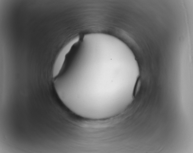 X0000088710025200706282052