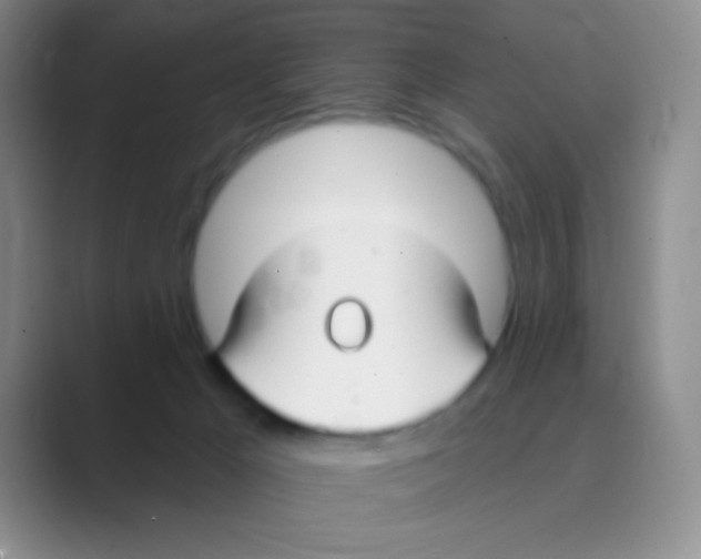 X0000088710029200706282052