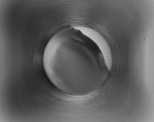 X0000088710031200706282052