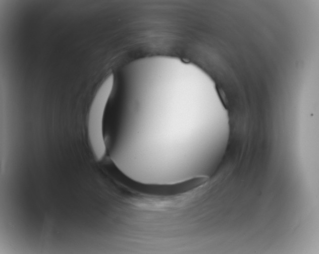 X0000088710033200706282052