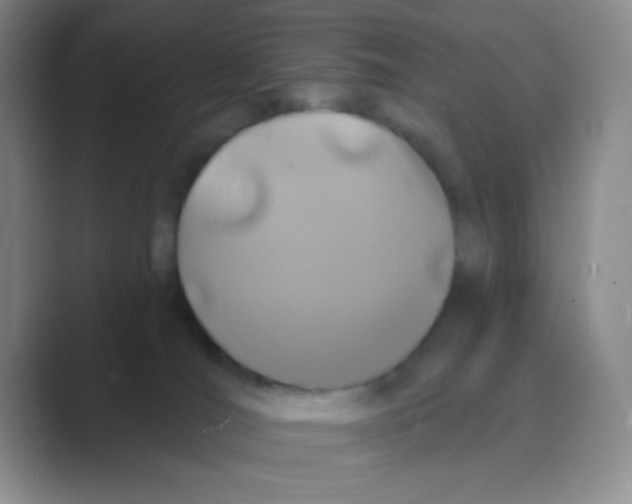 X0000088710036200706282052