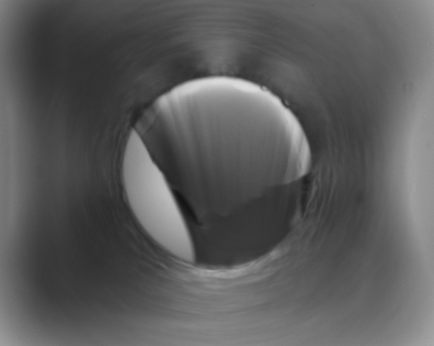 X0000088710039200706282052