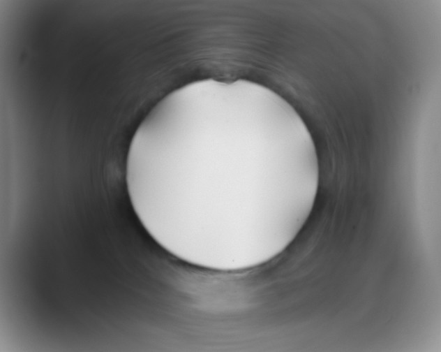 X0000088710040200706282052