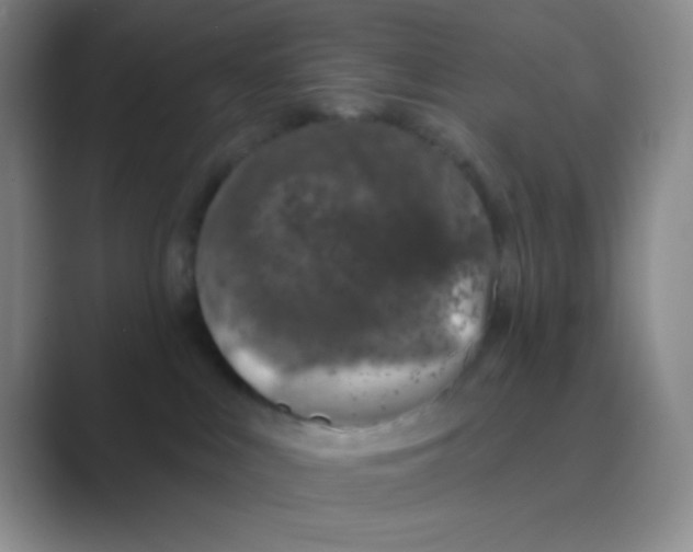 X0000088710043200706282052