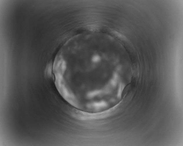 X0000088710047200706282052