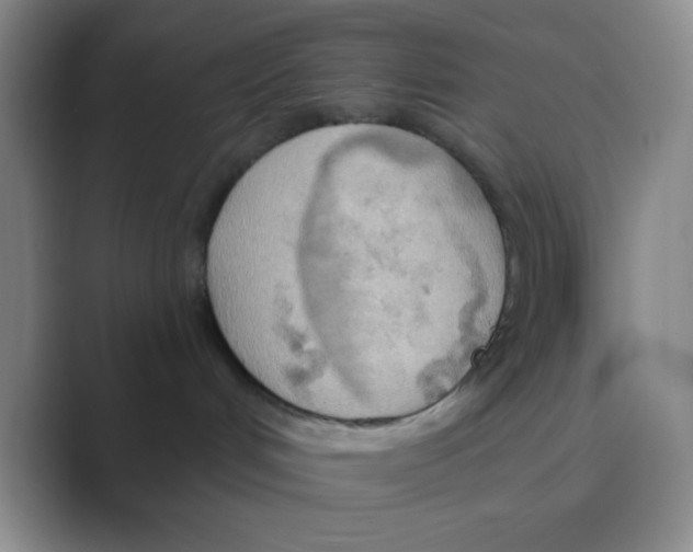 X0000088710048200706282052