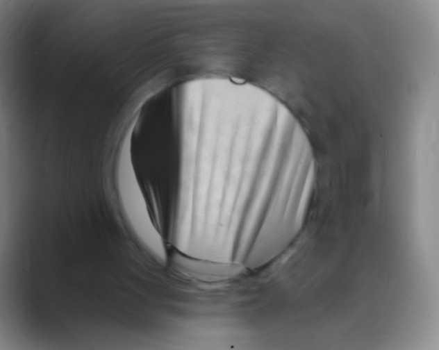 X0000088710051200706282051