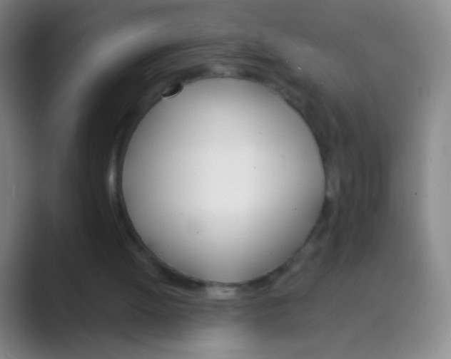 X0000088710052200706282051