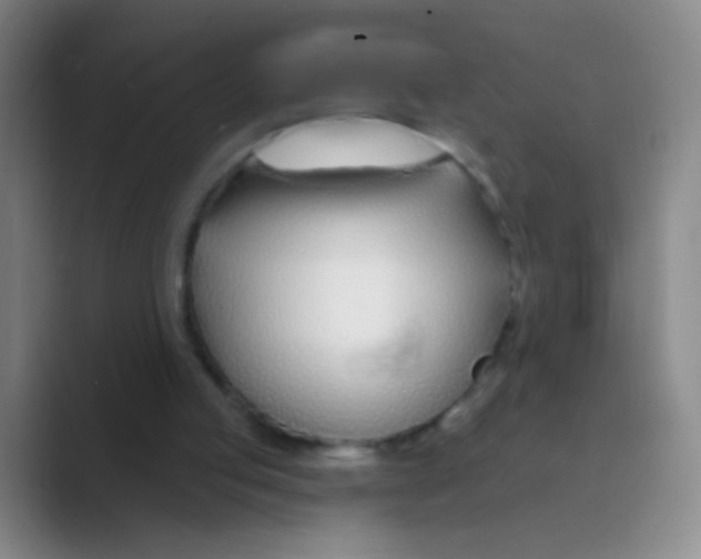 X0000088710053200706282051