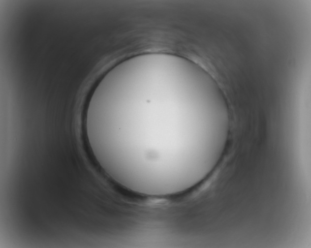 X0000088710055200706282052