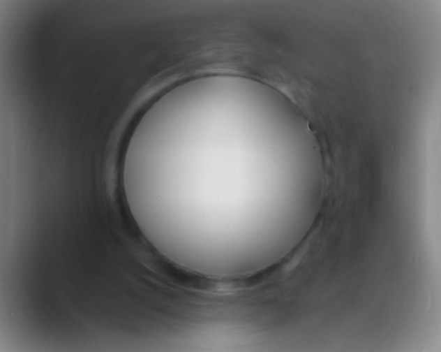 X0000088710056200706282052