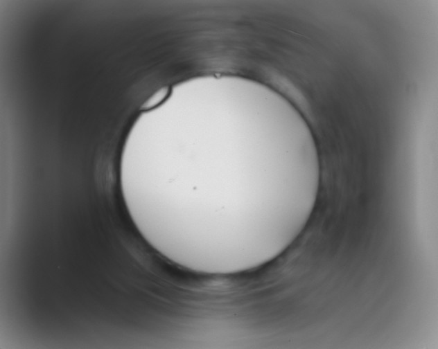 X0000088710059200706282052