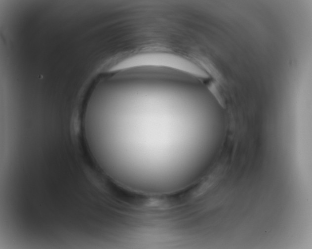 X0000088710060200706282052