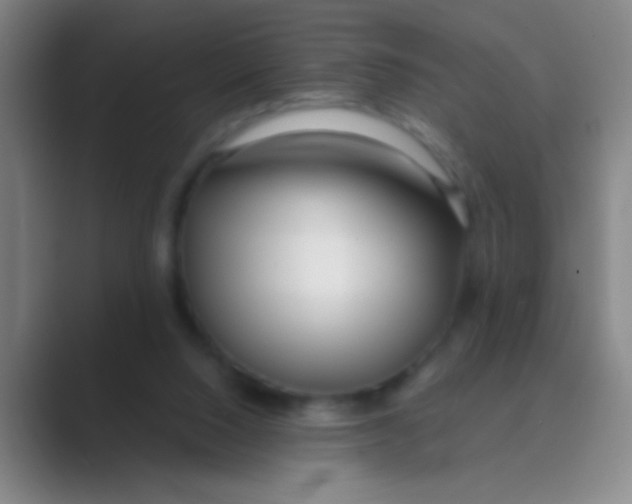 X0000088710064200706282052