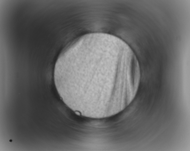 X0000088710065200706282052