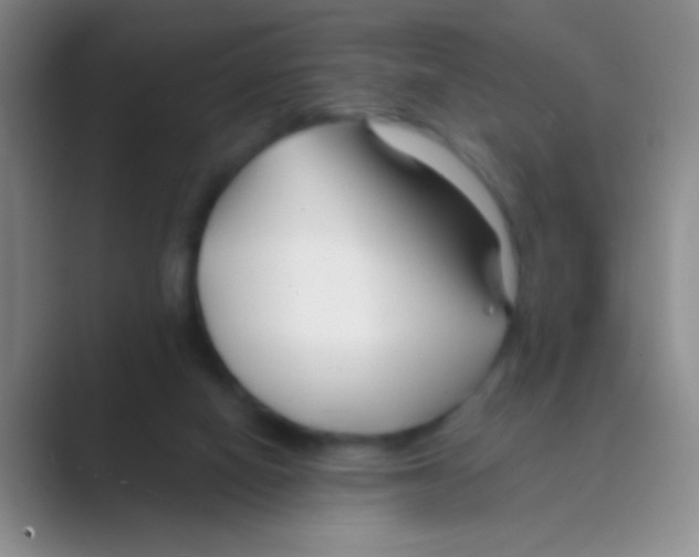 X0000088710066200706282052