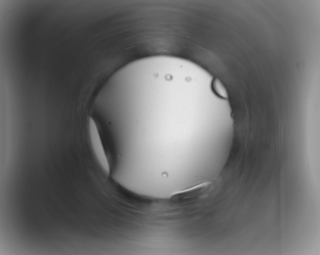 X0000088710070200706282052