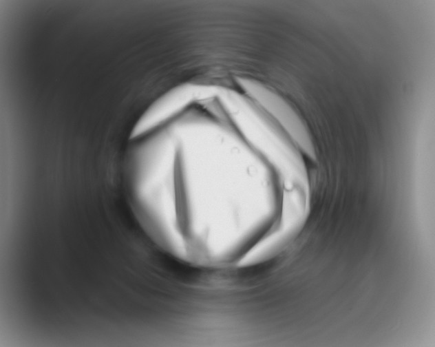 X0000088710078200706282052