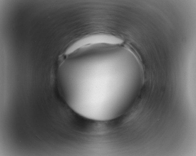 X0000088710080200706282052