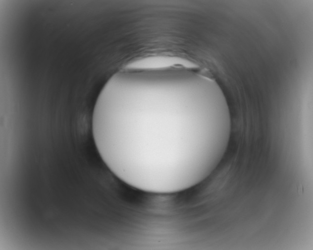 X0000088710081200706282052