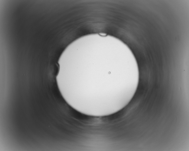 X0000088710083200706282052