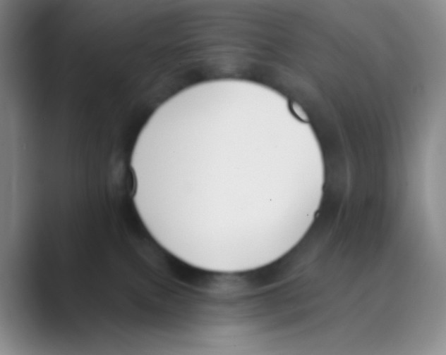 X0000088710087200706282052