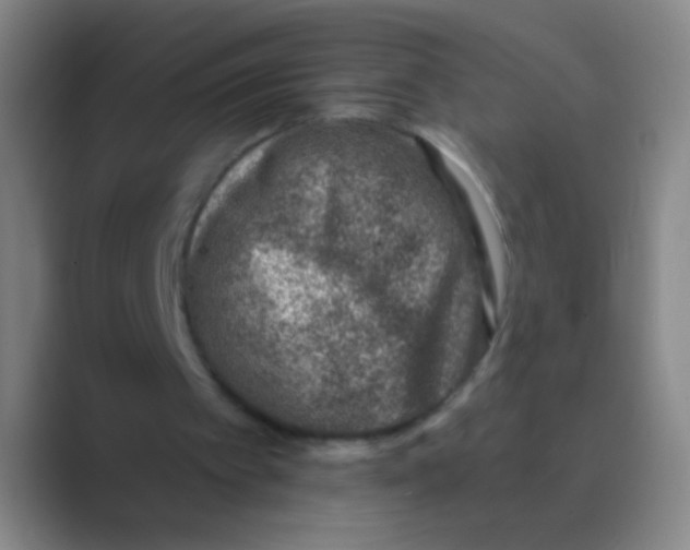 X0000088710097200706282051