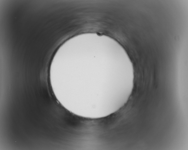 X0000088710100200706282051