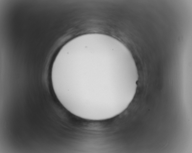 X0000088710104200706282051