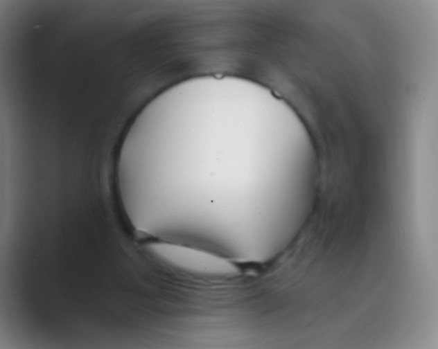 X0000088710107200706282051