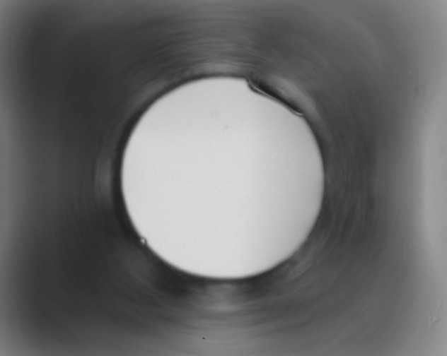 X0000088710108200706282051