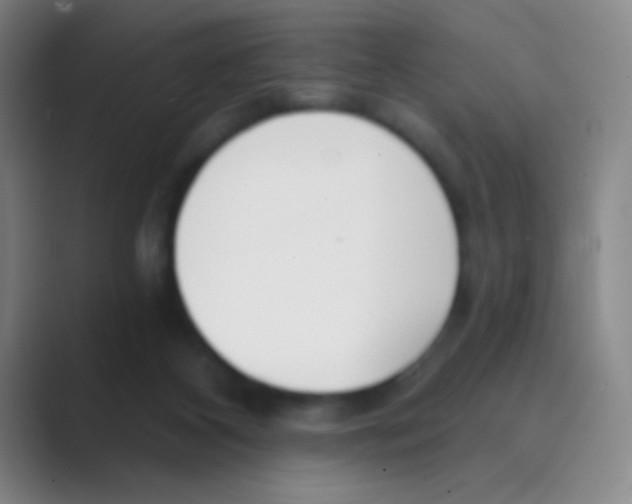 X0000088710116200706282051