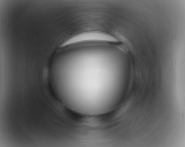 X0000088710117200706282051