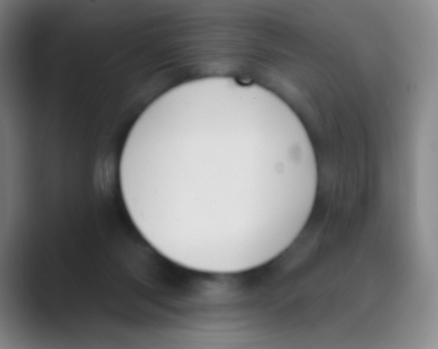 X0000088710118200706282051