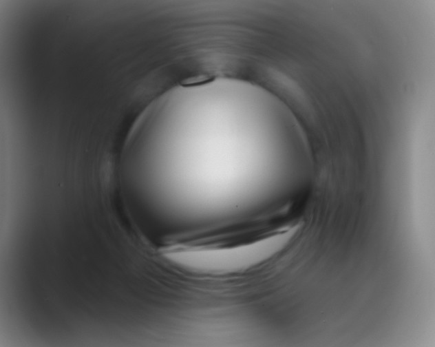 X0000088710121200706282051