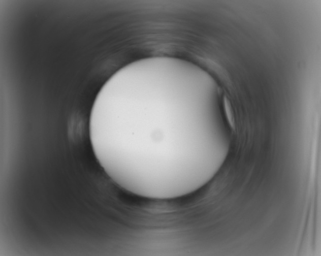 X0000088710123200706282051