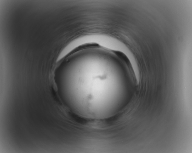 X0000088710125200706282051