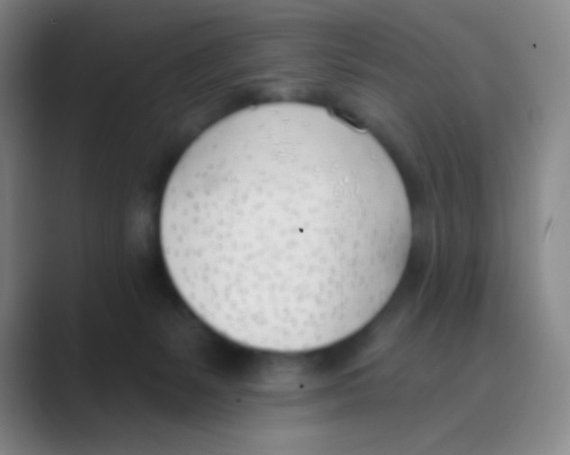 X0000088710127200706282051