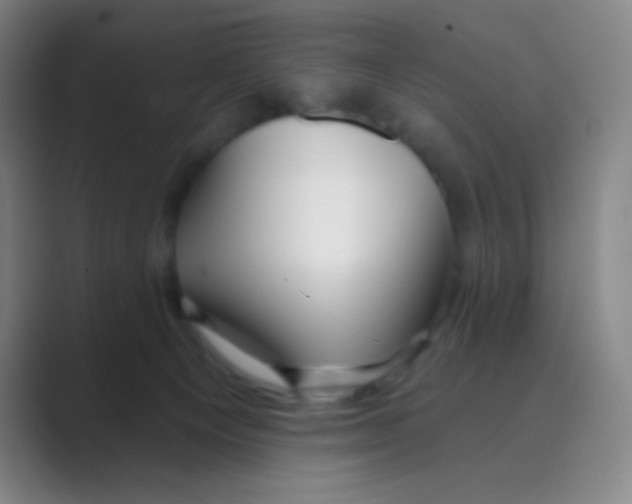 X0000088710129200706282051