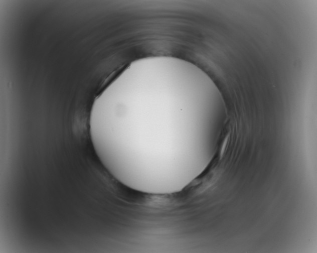 X0000088710141200706282051