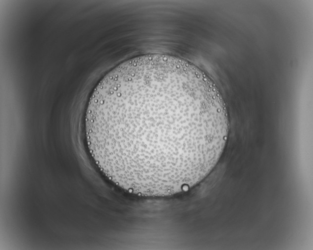 X0000088710145200706282050