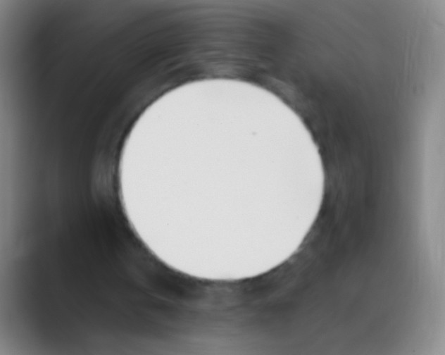 X0000088710146200706282050