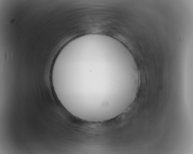 X0000088710147200706282050