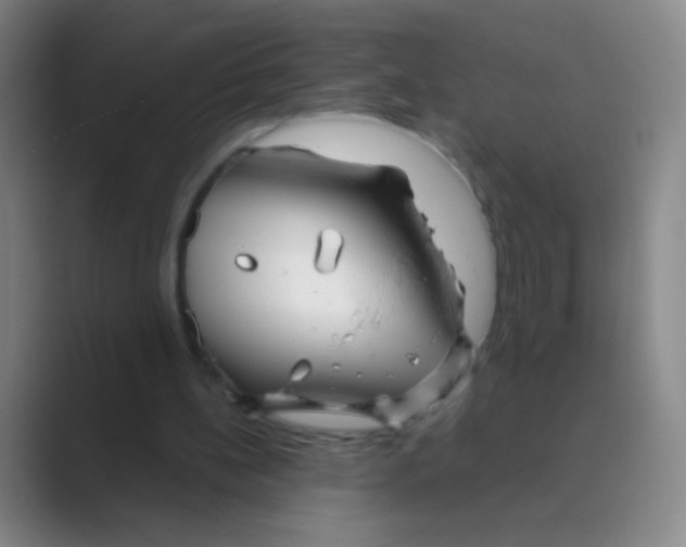 X0000088710148200706282050