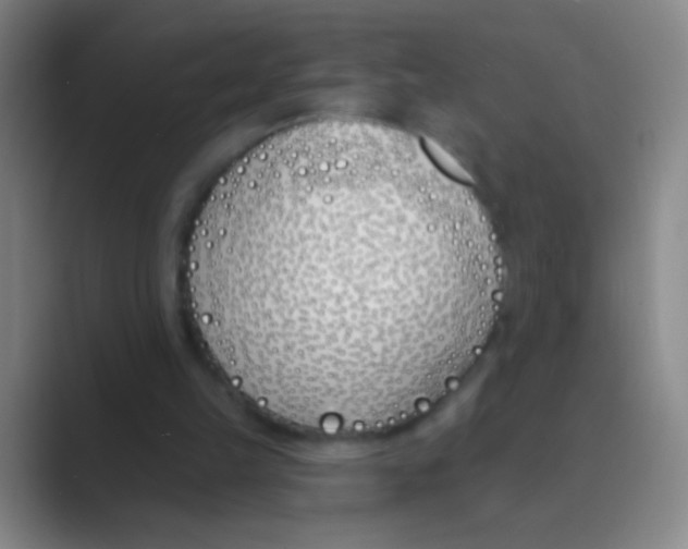 X0000088710149200706282050